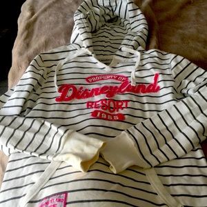 Disneyland parks sweatshirt